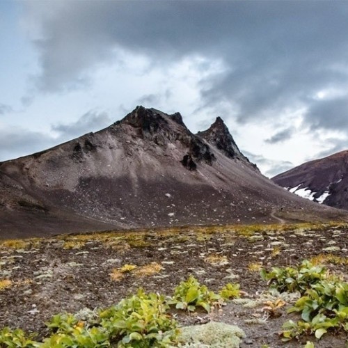 На Камчатке — вкусно есть: гастротур с рыбалкой и крабовой вечеринкой у океана