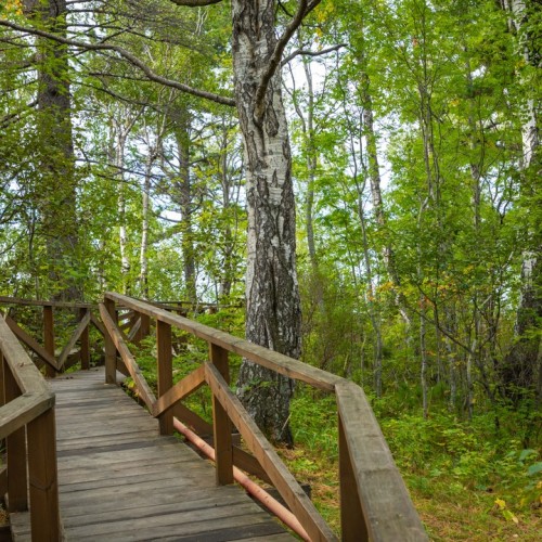 Очарование летнего Байкала: Иркутск, Листвянка и Ольхон, топовые локации и лучшие виды