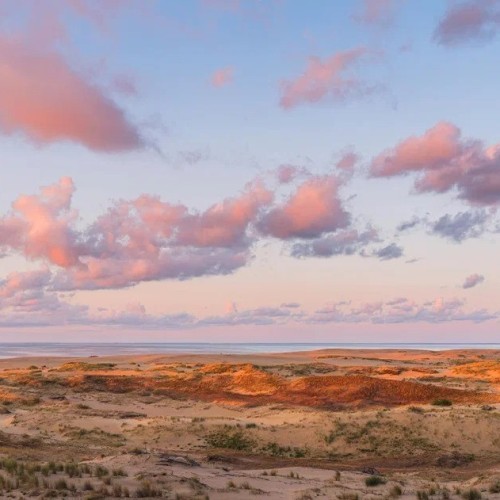 Пиво, тайны и дорога в дюны. Кёнигсбергский уикенд
