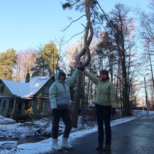 Мобильный квест «Лисий Нос и тайна графа Орлова»