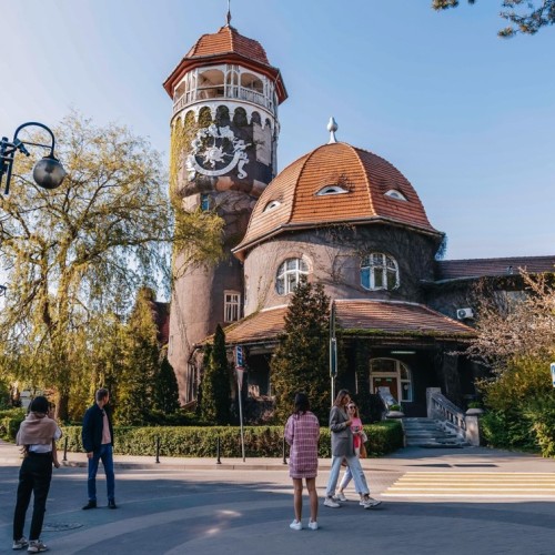 Море, котики, курорты: главное в Калининградской области