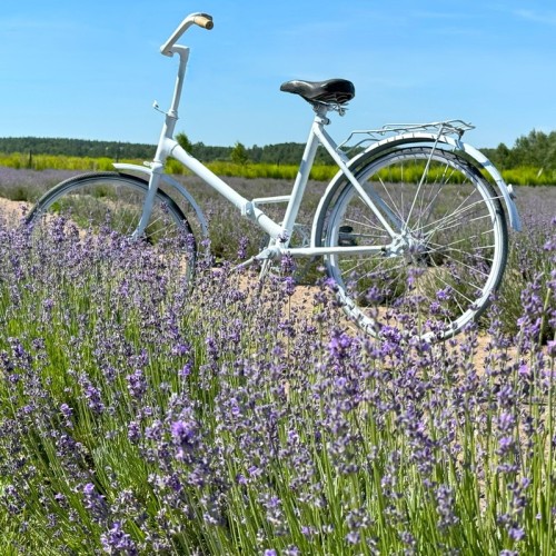 Русские пейзажи и шарм Прованса: Муром, Нижний Новгород и Гороховец за выходные