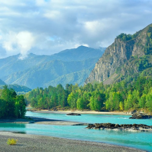 Трансфер + экскурсия: с корабля на бал, в прекрасный Горный Алтай!