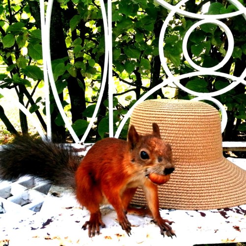 Велоэкскурсия по Царскому Селу