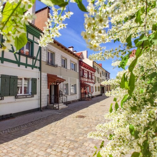 Первый раз в Калининград: истории знаковых мест и редко посещаемых локаций