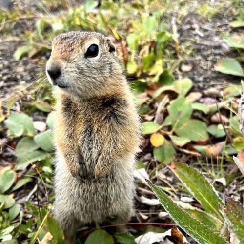 Вулканы, киты, океан: исследуем Камчатку налегке