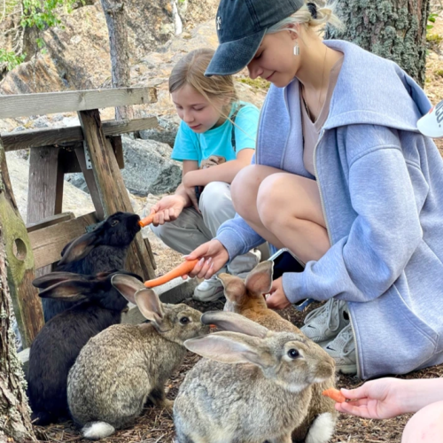 Перезагрузка в Приладожье с йогой, баней, сибирским чаном и сапами (всё включено)