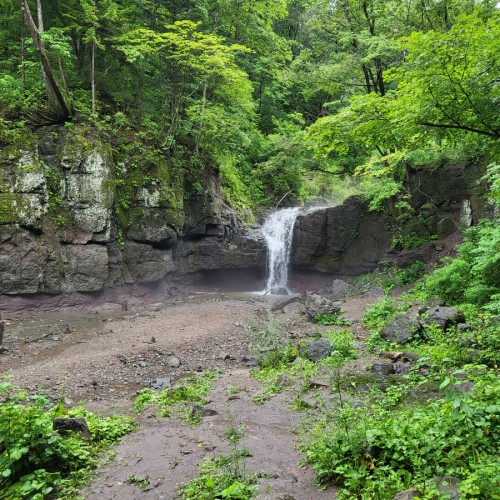 Маяк Бюссе, дикие кошки и природа Дальнего Востока