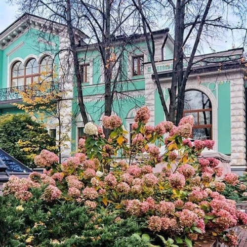 Злачная Хитровка: бизнес на ночлежках и роскошь по соседству