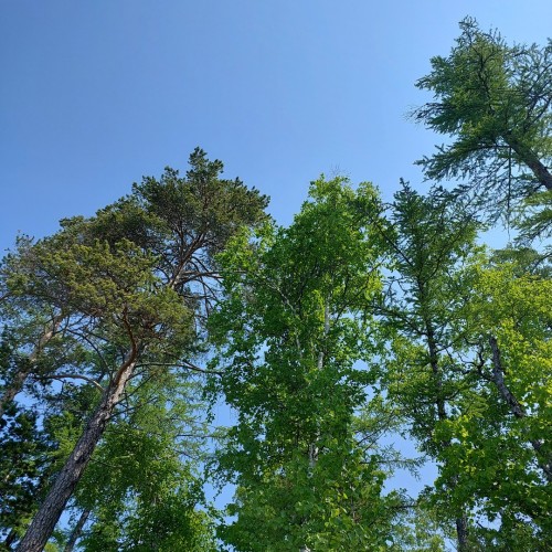 «Всё включено» на Байкале: экскурсии, водная прогулка, погружение в традиции и вкуснейшая кухня