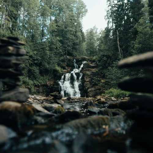 Карельский Клондайк и водопад Белые мосты