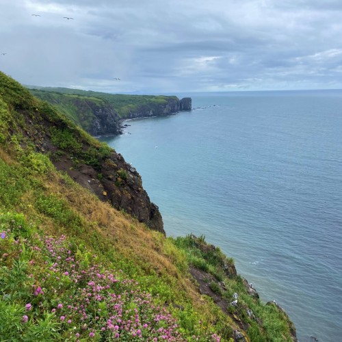 Камчатка в мини-группе: перевалы, бухты, сопки и купание в природных источниках