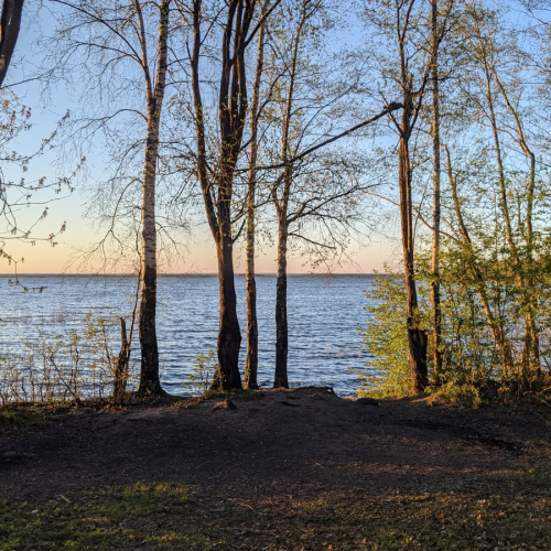 Едем с таксой по ленинским местам Петербурга