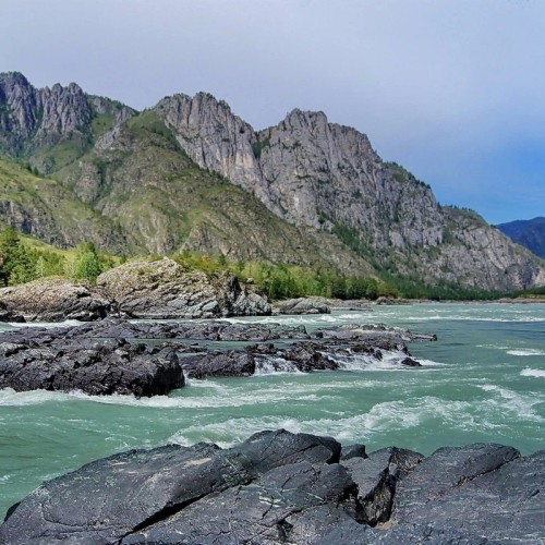 Дикий Алтай: Ороктойский мост, петроглифы и водопад Бельтертуюк