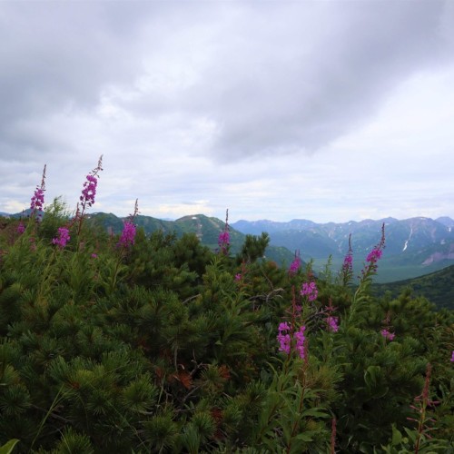 Активный отдых на Камчатке в мини-группе: треккинги, сплавы, квадроциклы