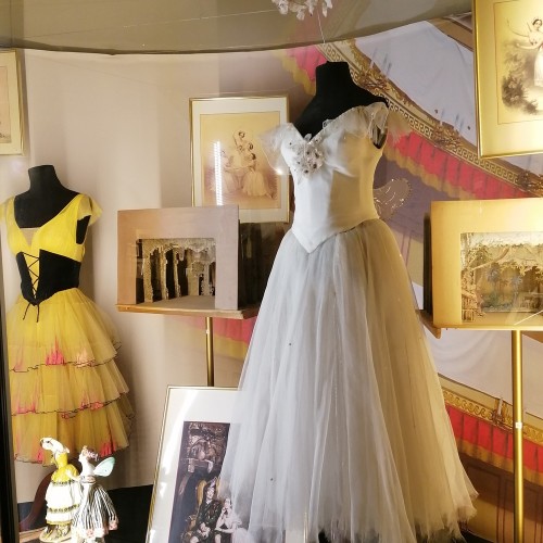 В гостях у артистов Самойловых в Петербурге (билеты включены)