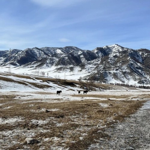 Алтайские тропы: красота природы с комфортом