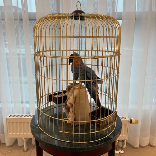 Рисующие камнями: экскурсия в музее флорентийской мозаики Санкт-Петербурга