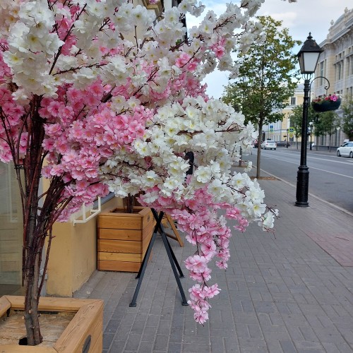 Знаменитые жители Казани