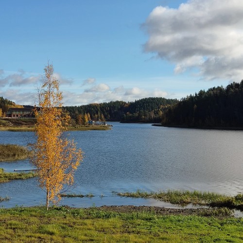 Свидание с Карелией (из Петербурга)