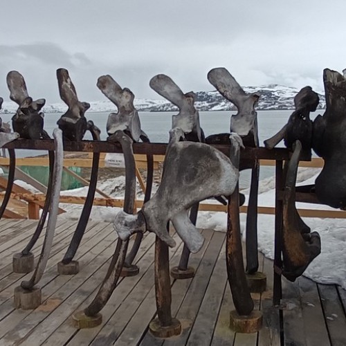 Выходные в Арктике в мини-группе: Мурманск, Кировск и Териберка