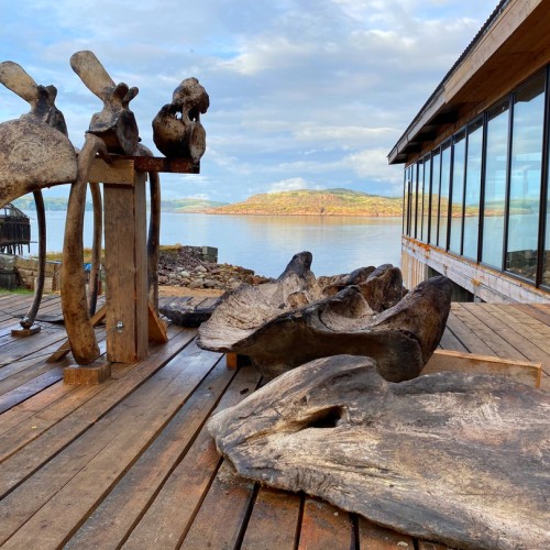 Приключения в Арктике в мини-группе: Териберка, Ловозеро, Хибины и Кировск с активностями