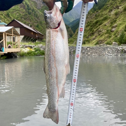 Зов гор: индивидуальное путешествие по Дагестану с подъёмом на Богосский хребет