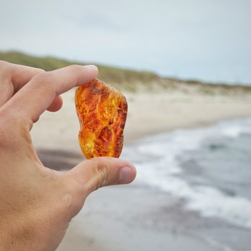 Балтийские выходные: природные достопримечательности и города-курорты