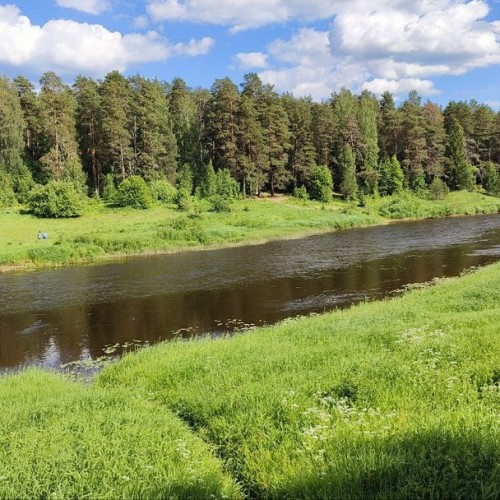 Детокс на Тверце: сплав на байдарках с посещением Торжка и «Василёво»