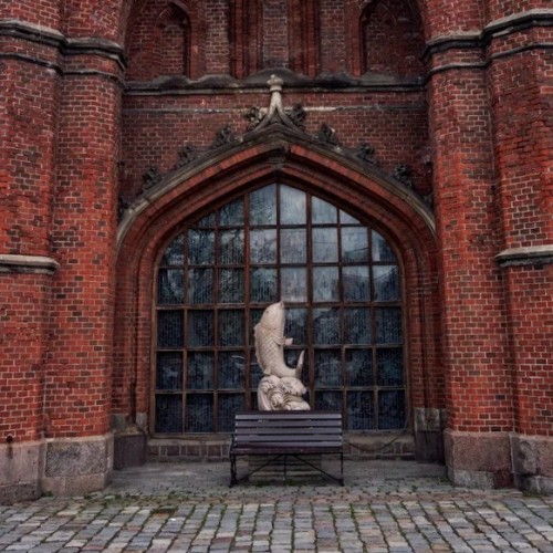 Пиво, тайны и дорога в дюны. Кёнигсбергский уикенд