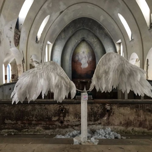 Прогулка на конях по неизведанной и заброшенной Карелии