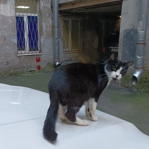 Обратная сторона Петербурга