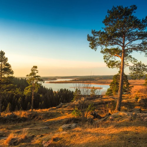 Перезагрузка в Карелии: йога, прогулки на природе и главные места (из Санкт-Петербурга)