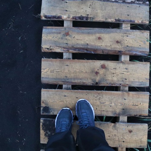 Природные красоты Камчатки: легко и без восхождений