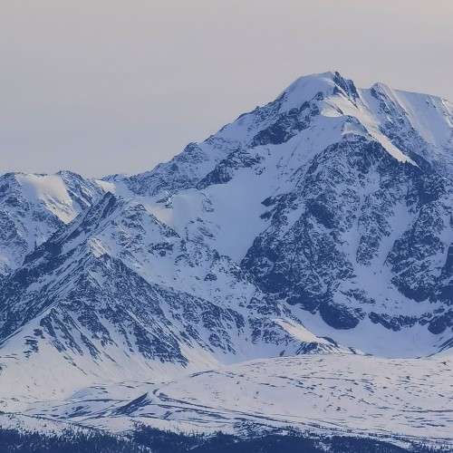 Фототур по золотому Алтаю в мини-группе: всё главное в живописный период