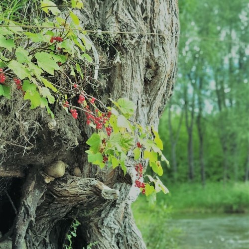 Богатство Байкала: рыбалка на реках и в диких местах на озере с катера