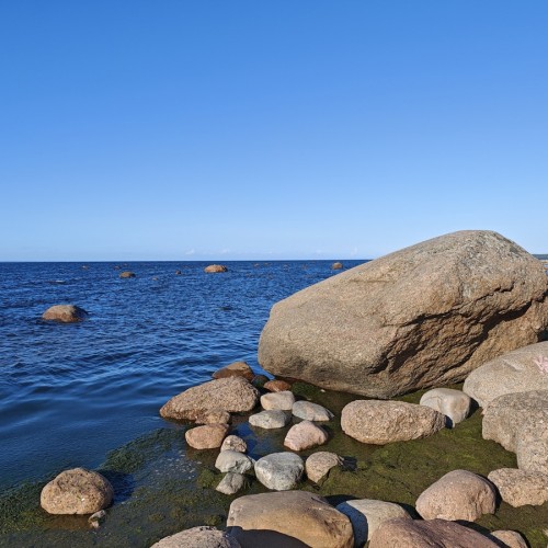 К форту «Красная горка» и «Андерсенграду» — из Петербурга