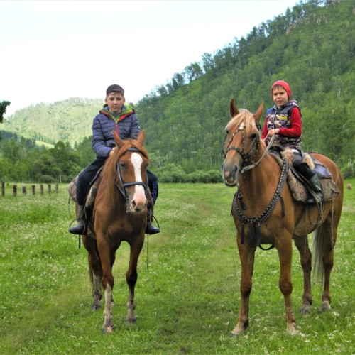 Конная прогулка вдоль горной реки Семы