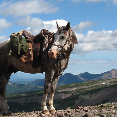 Камчатский максимум: конные прогулки, джипы, вулканы и рыбалка в Тихом океане