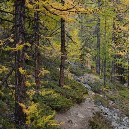 Знакомство с Алтаем своей компанией: снежные вершины, кристальные озёра и заповедные тропы