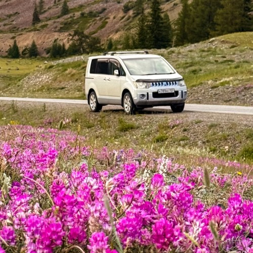 Путешествие по долине реки Катунь — из Горно-Алтайска