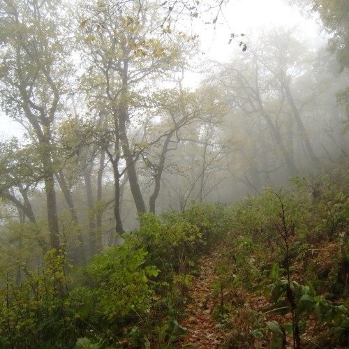 Поход на Большой Тхач