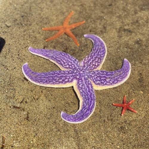 Манящий Сахалин и таинственный Итуруп