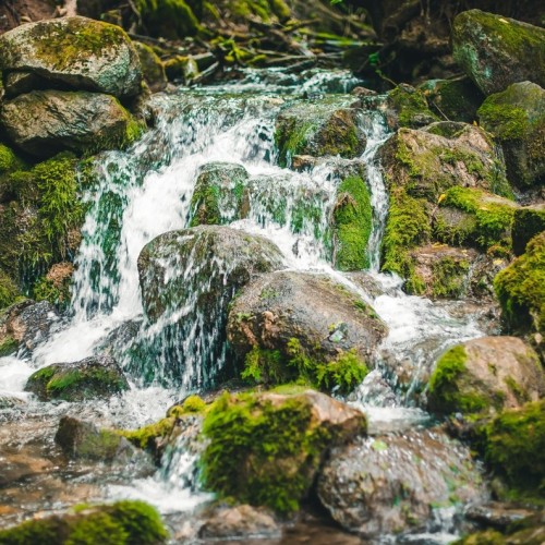 Очарование древности: Псков, его «затутырки» и окрестности