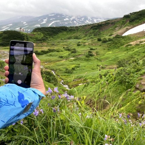 Природные красоты Камчатки: легко и без восхождений