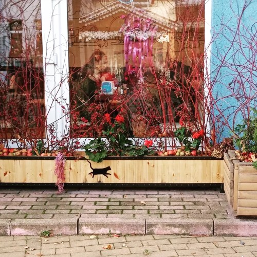 Зеленоградск — Кранц: история одного города