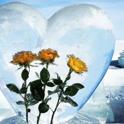 Чарующий Северный Байкал: прогулки и погружение в культуру