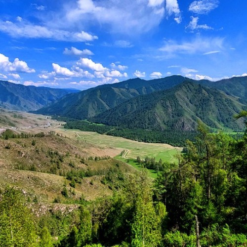 Насыщенный треккинг-тур по Алтаю с размещением на турбазах: более 25 локаций