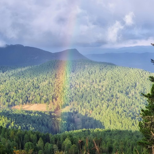 Верхом по Алтаю: конный тур для новичков с палатками (всё включено)
