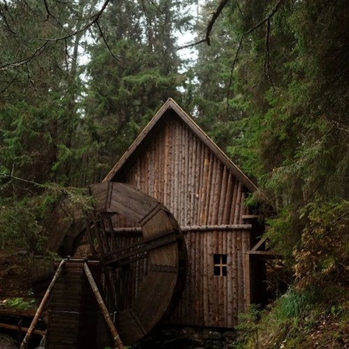 Знакомство с Карелией: хаски, олени, водопады и горный парк «Рускеала» (в группе)